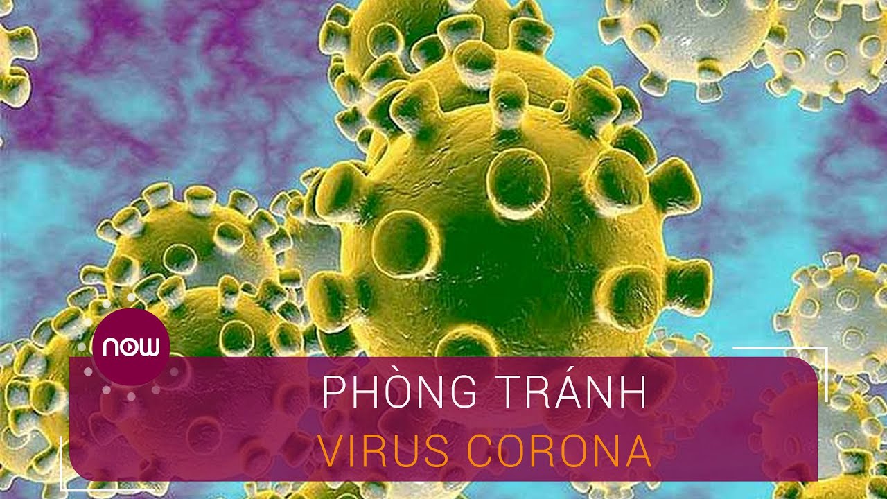 Phun thuốc phòng dịch Covid 19 ( đợt 2 )