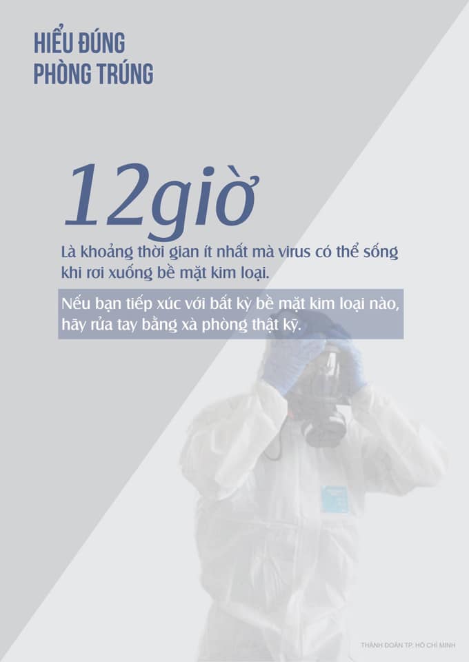 phong 3