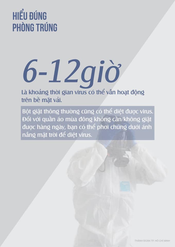 phong 4