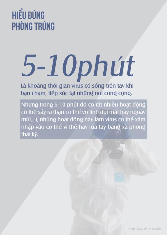 phong 5